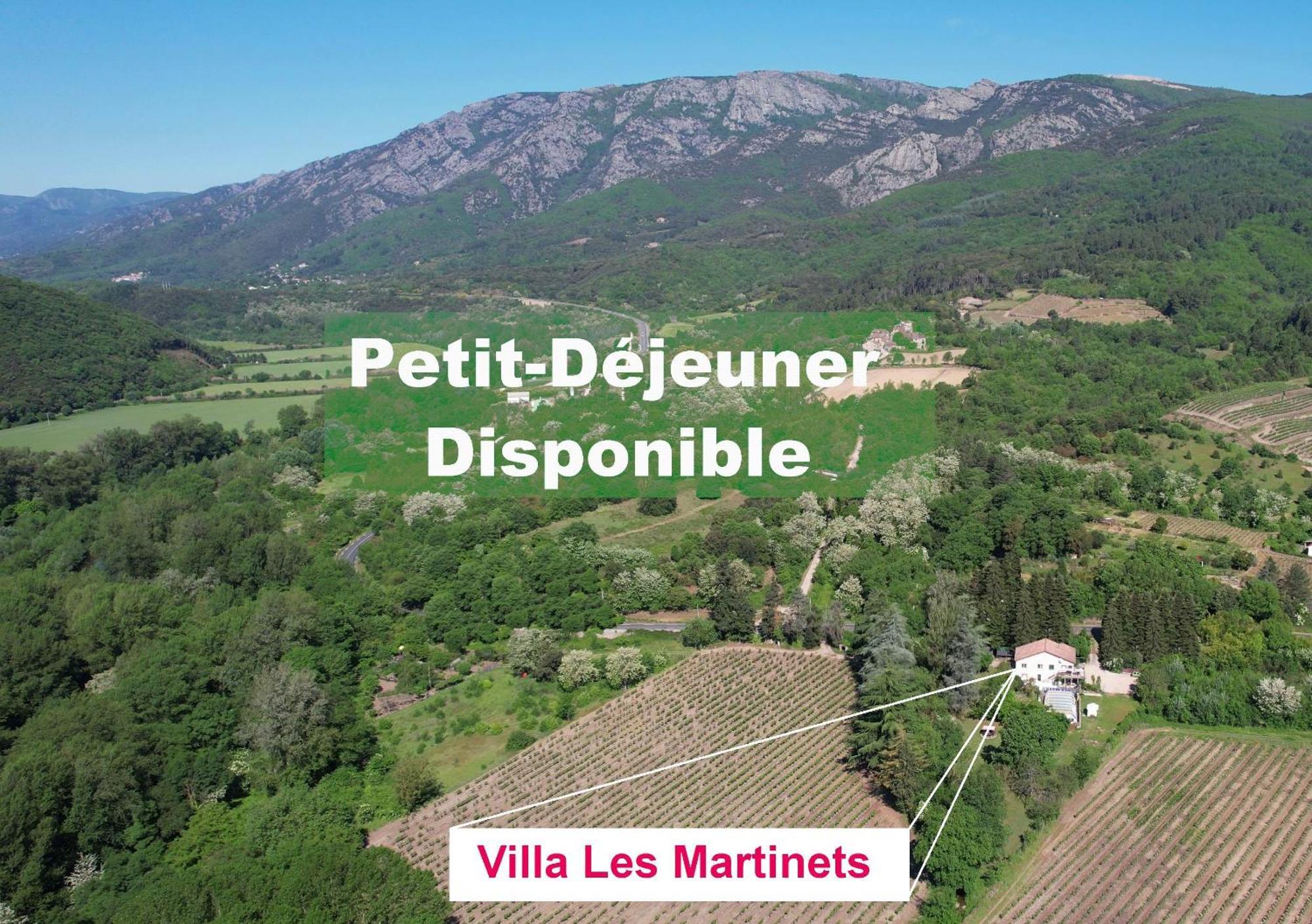 Villa Les Martinets-Piscine-Jacuzzi-Voie Verte-Gorges D'Heric-Massif Du Caroux Mons Olargues 34600 Le Poujol-sur-Orb Ngoại thất bức ảnh